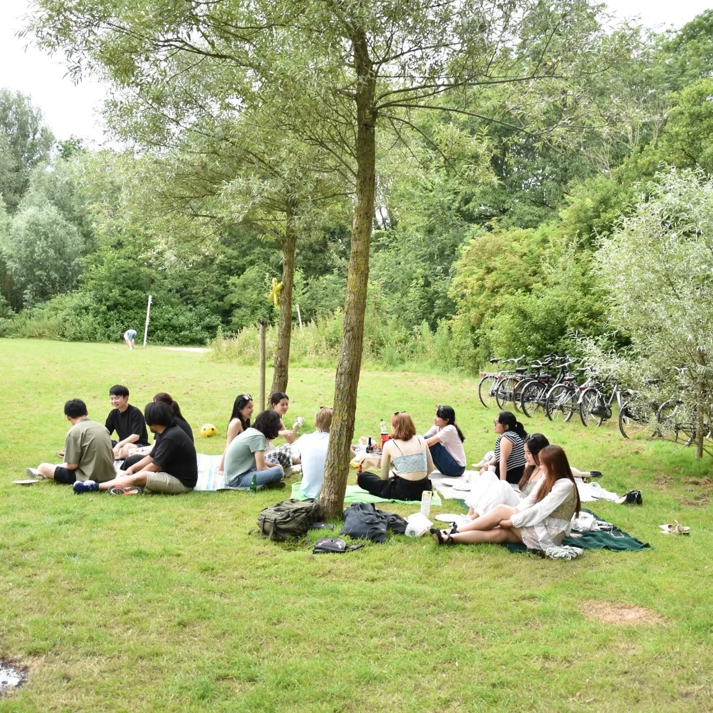 Year-End Celebrations